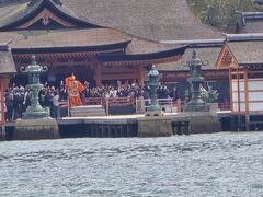 HANAIKADA�@�{���C�i�U��@�ї��ۂ̎ʐ^3