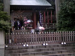 �T���v������̓�����_�{�ւ̓��e�ʐ^1