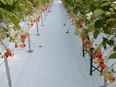 �@���������t�@�[���̎ʐ^1