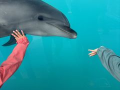 �z�O���������ق̎ʐ^1