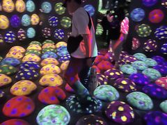 �`�[�����{�t�H���X�g ����-SBI�،��̎ʐ^2