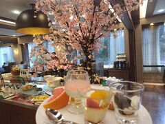 �U�E�v�����X�@�������m�΂̎ʐ^1