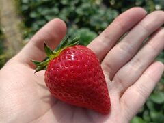 �[��_���̎ʐ^1