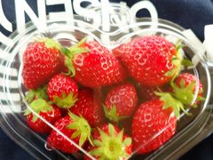 ������_���̎ʐ^1