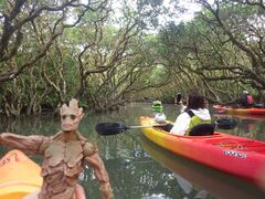 �E�g���x�[�X�̎ʐ^1