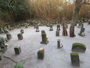 �L������̗��l��n�̓��e�ʐ^2