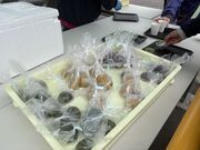 4�l�̂��[����񂳂�̔ԏ��여��̓��e�ʐ^1