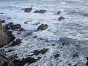 �{�X�T�u����̉̒Í�̓��e�ʐ^1