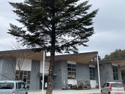 �l�����􂳂�̓��̉w�����̐X�E����̓��e�ʐ^1