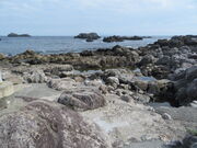 �L������̑��t����̓��e�ʐ^2