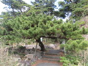 �L������̑��t����̓��e�ʐ^3