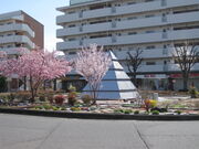 ��������񂳂�̖��S���R�w�̓��e�ʐ^1