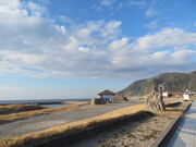 �L������̑O�l�C�݂̓��e�ʐ^2