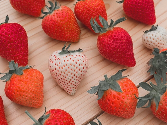 �֎q�Ɗ�������̂�������_䕉����Ƃ��