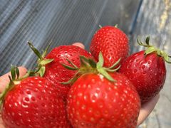 䕉����߃n�E�X�̎ʐ^1