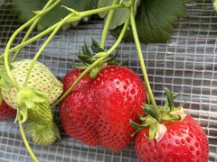 䕉����߃n�E�X�̎ʐ^2