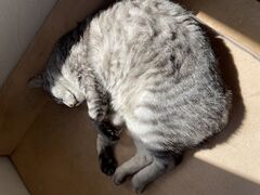 ���їq�̎ʐ^1