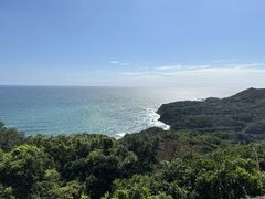 �s���N�̔L����̃p�[�����[�h�ւ̓��e�ʐ^1