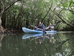 �I���I���Ί_���G�R�c�A�[�̎ʐ^1