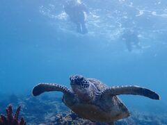 ���v�����R�ē��̎ʐ^1