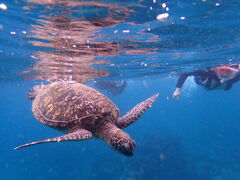 ���v�����R�ē��̎ʐ^2