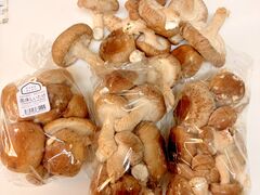 �A�X�^�l�̎ʐ^2