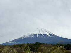 �t�W���}�g���b�N�c�A�[�̎ʐ^3