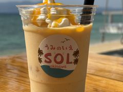 �K��r�[�`�}���� SOL marine�̎ʐ^3