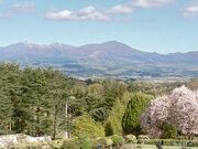 ����������̐��q���Y�z�e�����S���t��y���̓��e�ʐ^2