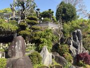 4�l�̂��[����񂳂�̋g�ˎ��̓��e�ʐ^1