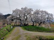 �����ڂ�����̐Ε����̓��e�ʐ^2