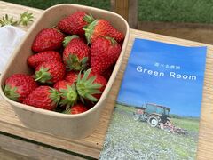 Green Room�̎ʐ^1