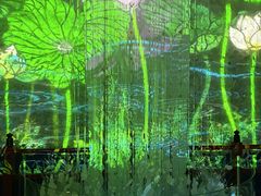 AQUARIUM�~ART atoa�̎ʐ^1