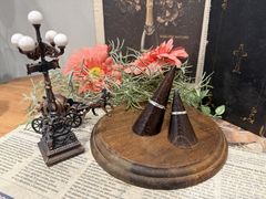 �䂤�₳��̃r�W���I�y���_�ˎO�{�W���G���[���{�ւ̓��e�ʐ^1