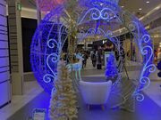 ������[����̃C�I�����[���M�c�̓��e�ʐ^2