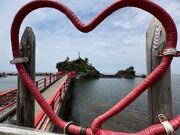 �k�P�Ă郉�C�_�[����̔\���C������̓��e�ʐ^1