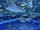 �݂������AQUARIUM�~ART atoa�ւ̓��e�ʐ^2