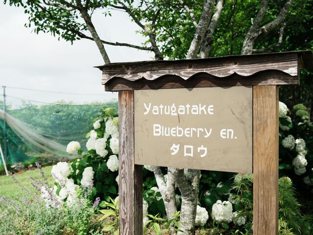 ���X�̊Ŕ�_�����x�u���[�x���[���_���E