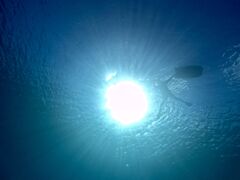 Light On Okinawa�̎ʐ^1