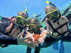 �̓��A�@Dive�@�����̎ʐ^2