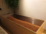 �䂫�������SHIBAURA�y�f���T����Jun�̓��e�ʐ^2