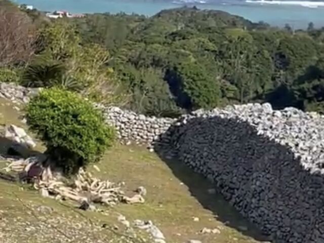 ���_���A�m���