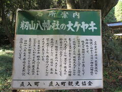�Ԃ���񂳂�̑�P���L�ւ̓��e�ʐ^1