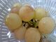 �P�[�L��D������̎R�퉀���@�C���X�e�b�P�ւ̓��e�ʐ^3