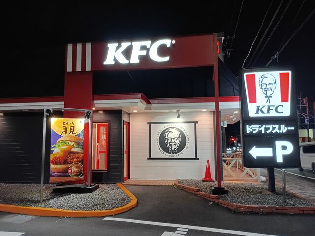 K2����̃P���^�b�L�[�t���C�h�`�L����䏼�c�X�̓��e�ʐ^10