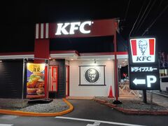 K2����̃P���^�b�L�[�t���C�h�`�L����䏼�c�X�̓��e�ʐ^1