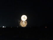 �Ă�������̐��̌Ή��n�̓��e�ʐ^4