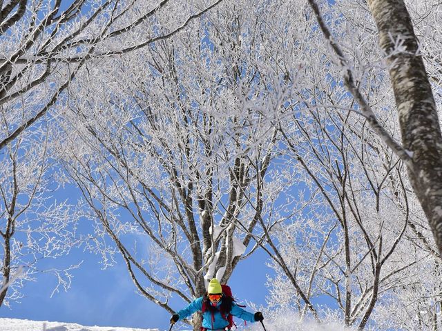 ɏ̃pE_[Xm[y݂B_JόA