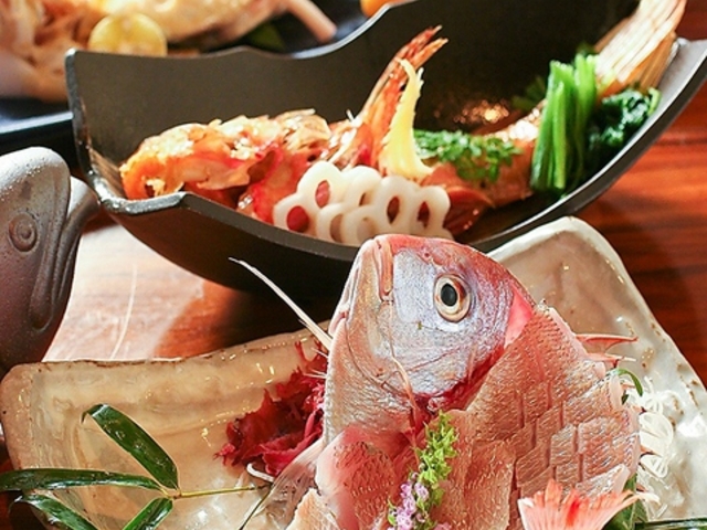 Ă  Vh{ arX 񂶂キ ݂₪̎ʐ^1