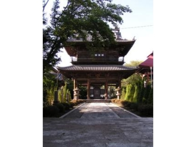 ���_���̎ʐ^1